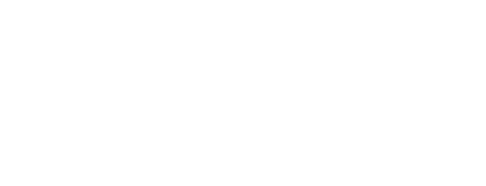 Vertinnova-Logo